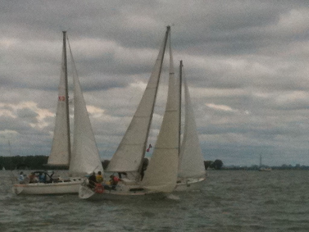 A competitive race - WOW Regatta © Lori Mason