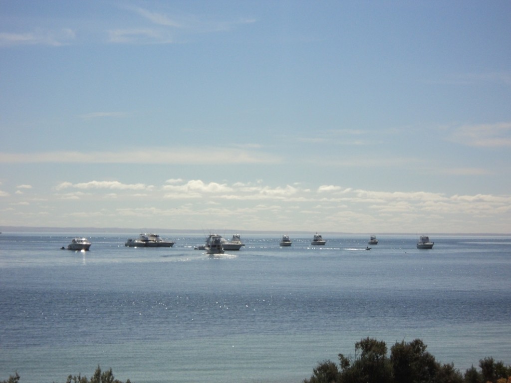Anchored off Reevesby Island photo copyright Stephen Milne taken at  and featuring the  class