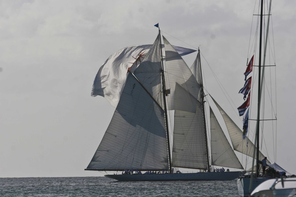 Foredeck crew show off on Elena - Mount Gay Rum Round Barbados Race photo copyright Barbados Advocate taken at  and featuring the  class