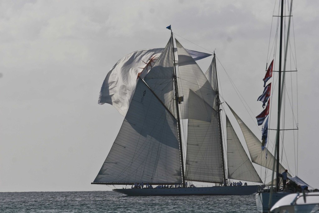 Foredeck crew show show on Elena - Mount Gay Rum Round Barbados Race © Barbados Advocate