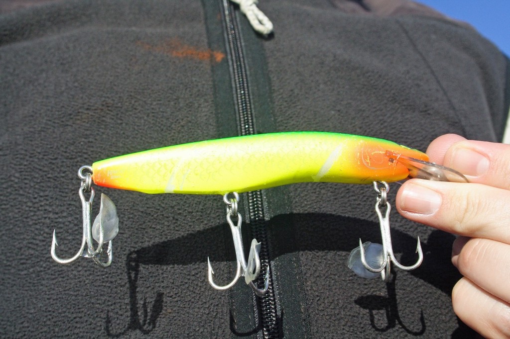 Although the hooks were only left each with a scale, VMC trebles are the standard hook that comes fitted from the packet. © Jarrod Day