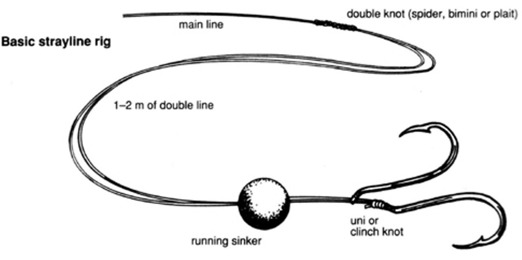 Two hook, running sinker rig - Tasmanian Snapper Fishing photo copyright Carl Hyland taken at  and featuring the  class