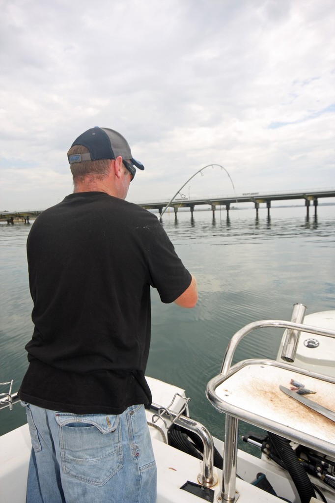 While structure holds fish, using berley to bring them away from it is an effective method. - Jarrod Day © Jarrod Day
