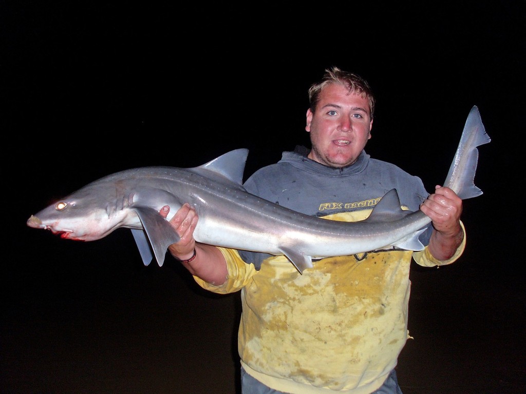 Ash Shaw is pleased to display a nice gummy shark after countless hours put in on the rocks. - Gummy Sharks © Jarrod Day