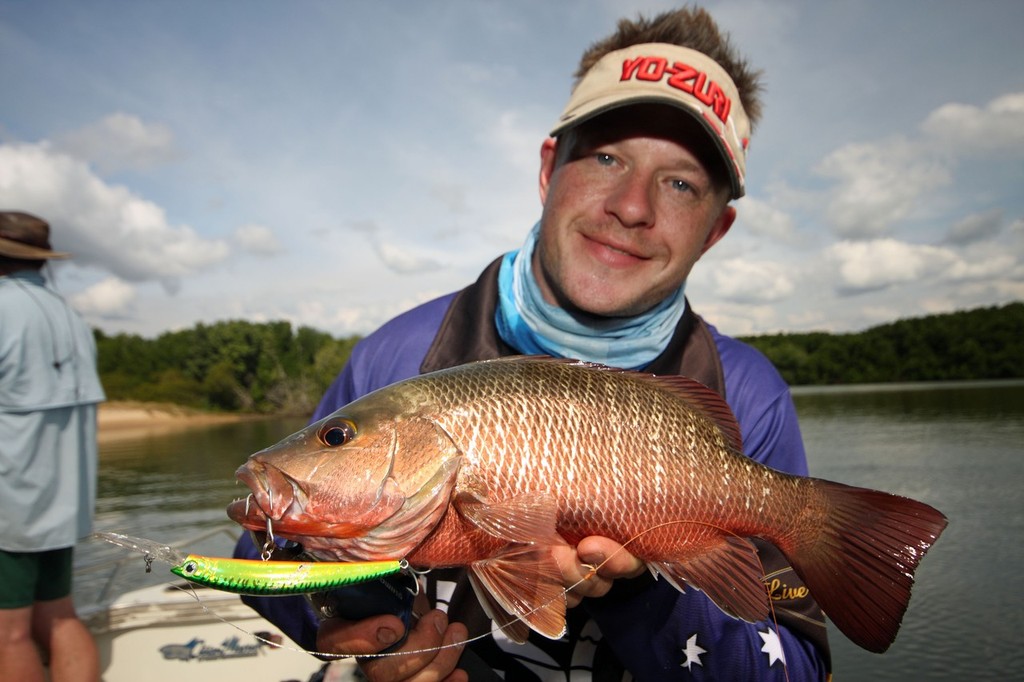Big Jacks are brutal fighters  and respond to lures cast into the thick of snags. © Jarrod Day