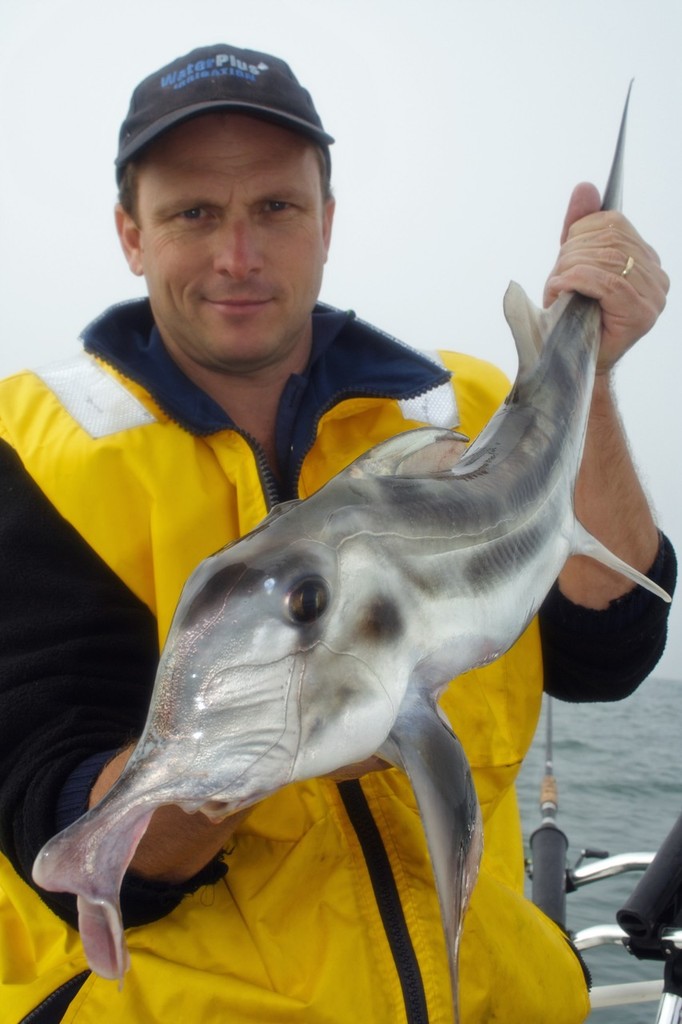 Martin holds up a sizable elephant caught from Corinella. © Jarrod Day