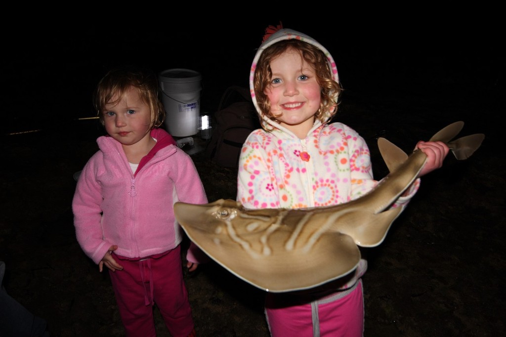 Even the kids can get in on the action. - Gummy Sharks © Jarrod Day