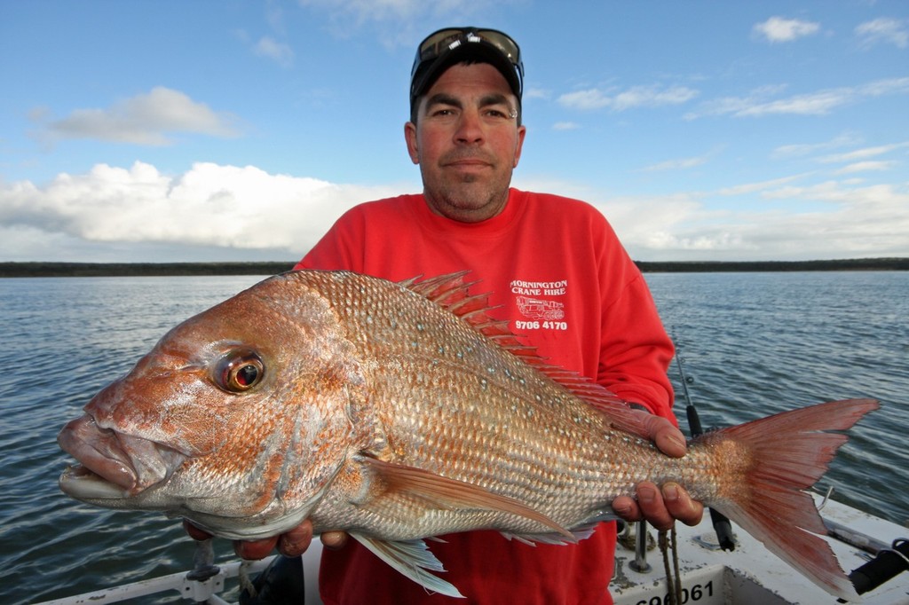 Shallow reefs can also lead to good success, the key is fresh bait. © Jarrod Day