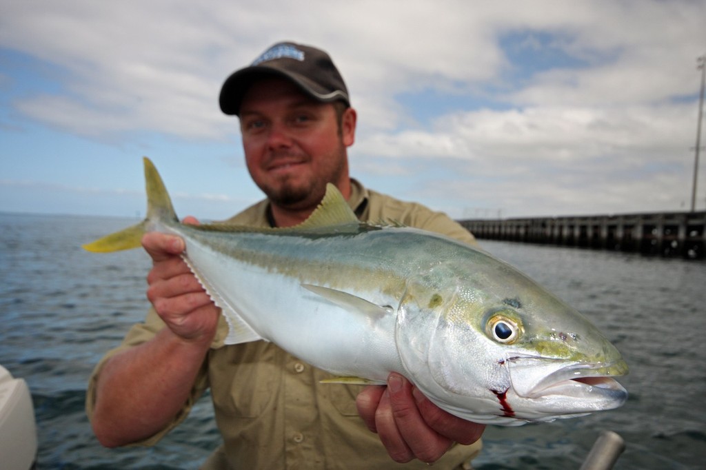 Ryan Ware displays a nice kingfish. photo copyright Jarrod Day taken at  and featuring the  class