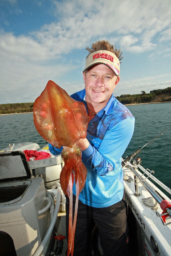 Calamari of this size are great eating. ©  Jarrod Day www.jarrodday.com