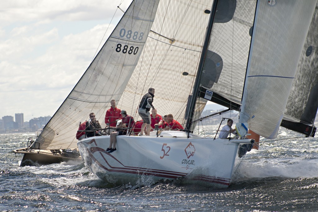 Cougar and Goldfinger - Club Marine Series photo copyright  Alex McKinnon Photography http://www.alexmckinnonphotography.com taken at  and featuring the  class