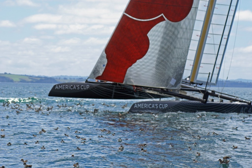 Team New Zealand sailing the AC45 - 5 February 2011 © Richard Gladwell www.photosport.co.nz