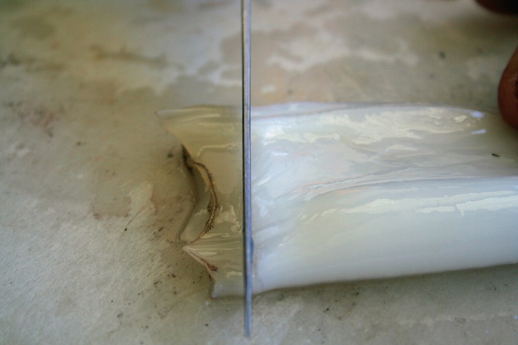 Fold the hood back the right way and with a sharp knife remove 3mm from the end of the hood. photo copyright Jarrod Day taken at  and featuring the  class