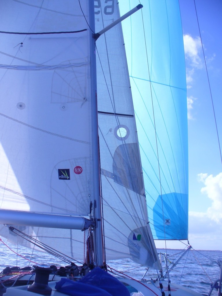 Flying the spinnaker on One Girl's Ocean Challenge photo copyright Diane Reid http://www.onegirlsoceanchallenge.com/ taken at  and featuring the  class