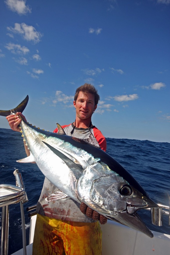 School fish may vary in size but when they hit 20+ kilos like this model they can prove a challenging task. ©  Jarrod Day www.jarrodday.com