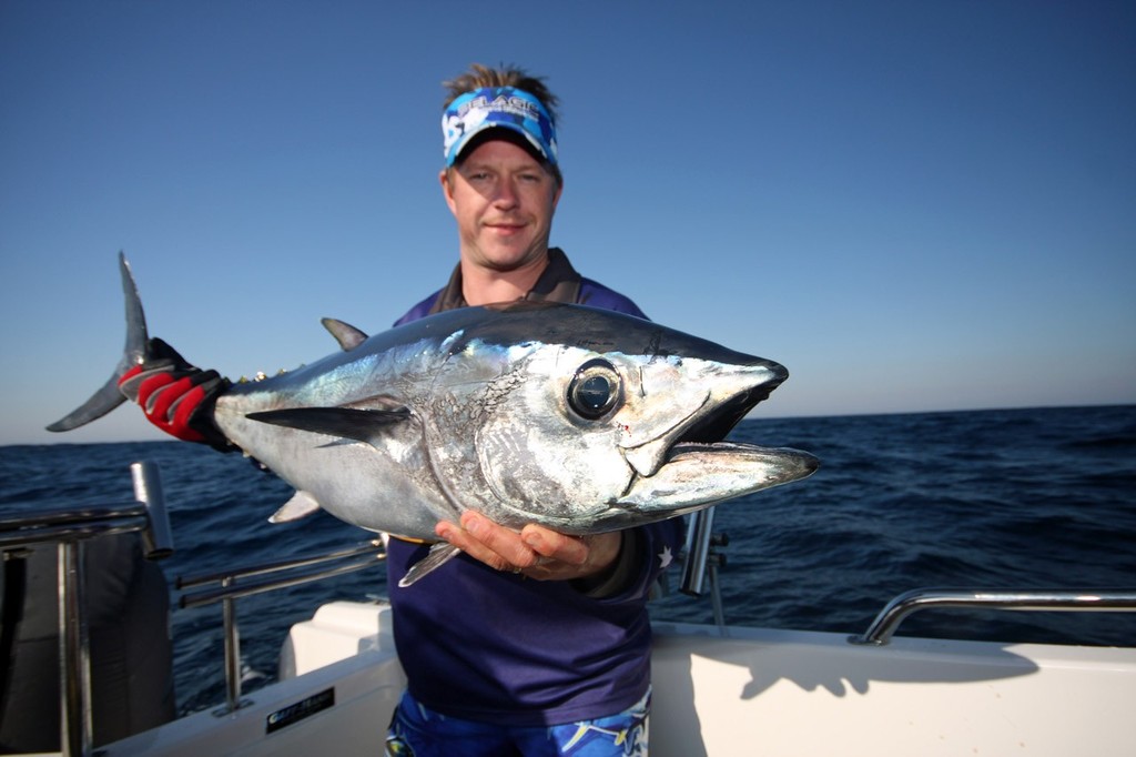 Small school sized tuna are a lot of fun on lighter tackle but should you downsize beware that you may hook a barrel ©  Jarrod Day www.jarrodday.com