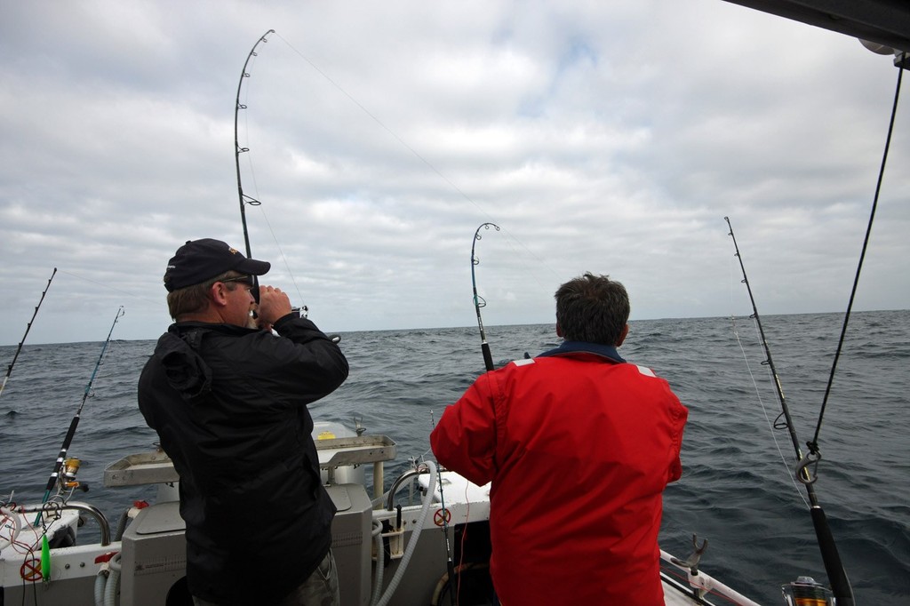 When trolling lures, expect multiple hook-ups. ©  Jarrod Day www.jarrodday.com