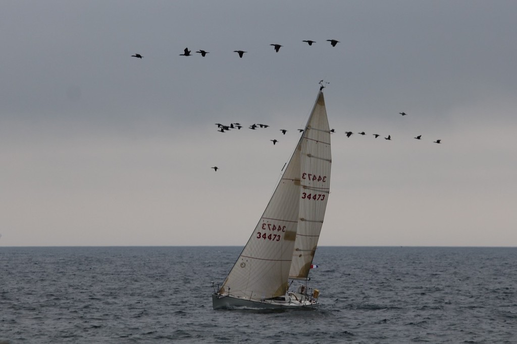 Afterburn is being led towards the finish © Guy Perrin http://sail-world.com