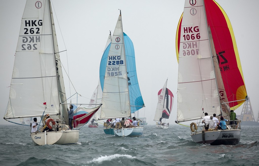 RHKYC Spring Regatta 2011 - Impala herd ©  RHKYC/Guy Nowell http://www.guynowell.com/