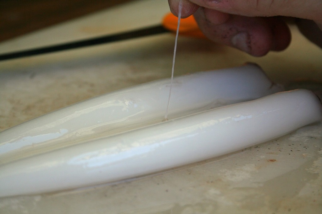 There will still be some small white sinew type strands on the outside of the hood, these can be picked off relatively easy. photo copyright Jarrod Day taken at  and featuring the  class