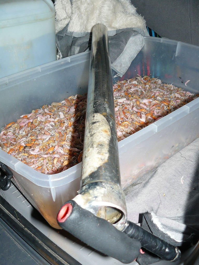 Bass Yabby photo copyright DPI Victoria . taken at  and featuring the  class