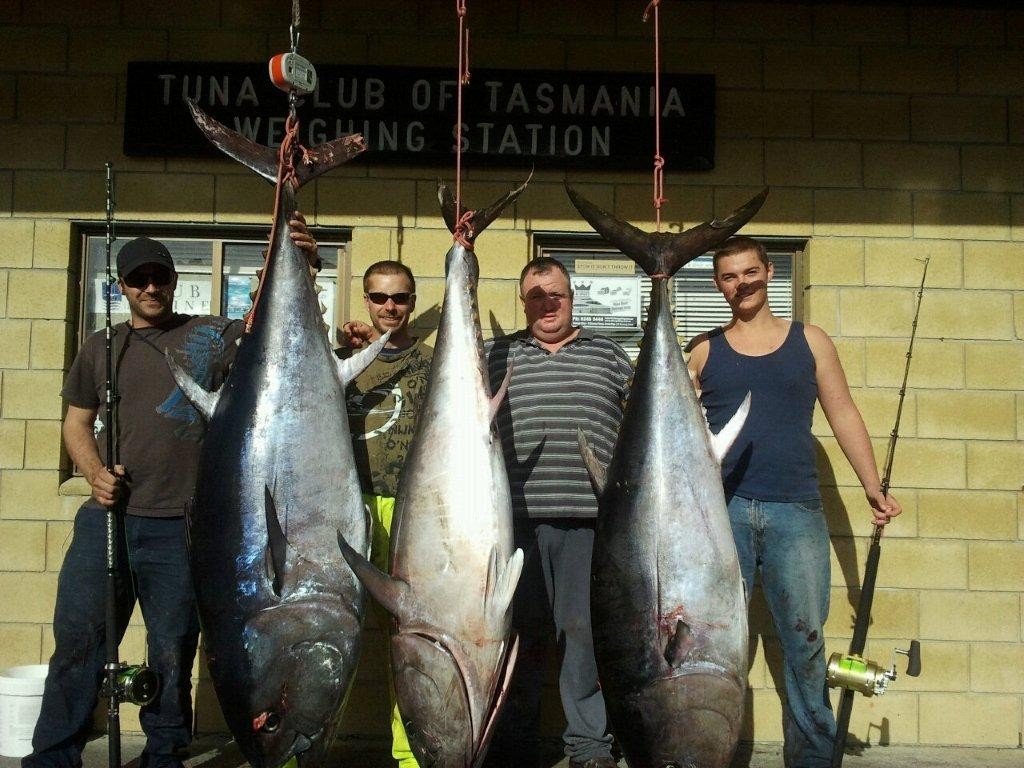 Paper Tuna photo copyright Carl Hyland - copyright http://www.fishtas.com taken at  and featuring the  class