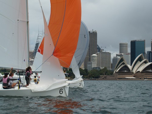 SilverSails competing in the 2011 Hardy Cup © SW