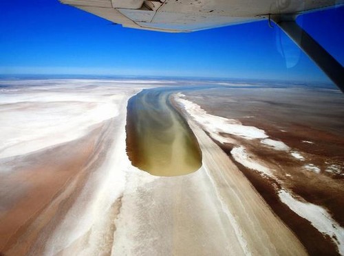 lake eyre yacht club