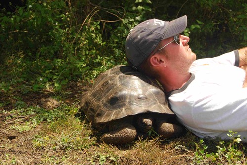 Galapagos Nap - Going it Alone © Lee Winters