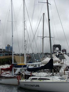 Yachts from the SSANZ Round the North Island race were moored in Wellington on Tuesday, ahead of the start of the third leg tomorrow (Wednesday, March 2). - SSANZ Round the North Island photo copyright Genevieve Howard taken at  and featuring the  class