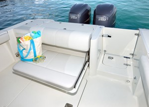 Note the fold-away lounge and easy access to the boarding platform photo copyright Sandman PR taken at  and featuring the  class