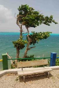 Isla Providencia - Going it Alone photo copyright Lee Winters taken at  and featuring the  class