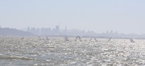 The racing vistas of Berkeley California - DoubleTree By Hilton at Berkeley Marina US Windsurfing National Championships photo copyright David Wells http://www.waterhound.com taken at  and featuring the  class