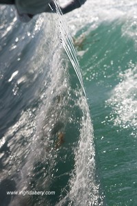 RC44 fleet  - Key West 2011. Copyright Ingrid Abery 2010. photo copyright Ingrid Abery http://www.ingridabery.com taken at  and featuring the  class