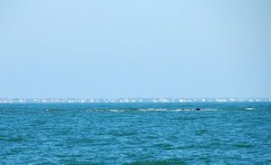 Charleston Jetties photo copyright  SW taken at  and featuring the  class
