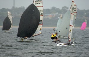 DSC00078 edited-1 - Day 3 - Broo Premium Lager Musto Skiff Worlds, Melbourne photo copyright Richard Gladwell www.photosport.co.nz taken at  and featuring the  class