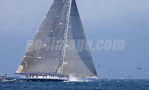 RANGER
J Class Regatta Newport RI USA
June 14 - June 19, 2011


 - J-class, Newport, RI, Day 4 19 June 2011 photo copyright Daniel Forster http://www.DanielForster.com taken at  and featuring the  class