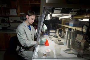 Louie Wurch extracts RNA from Aureococcus anophagefferens in the Dyhrman Phytoplankton and Marine Biogeochemistry Laboratory at WHOI. Researchers found the harmful algal bloom species has a unique gene complement that allows it to outcompete other marine phytoplankton and thrive in human-modified ecosystems. - Woods Hole Oceanographic Institution photo copyright Woods Hole Oceanographic Institution (WHOI) http://www.whoi.edu/ taken at  and featuring the  class