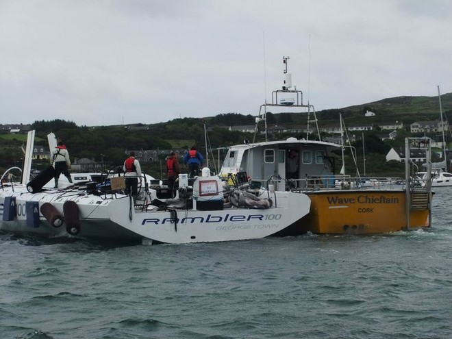 Rambler righting - Barley Cove, Co Cork, Ireland © Baltimore Sea Safari http://www.baltimoreseasafari.ie/