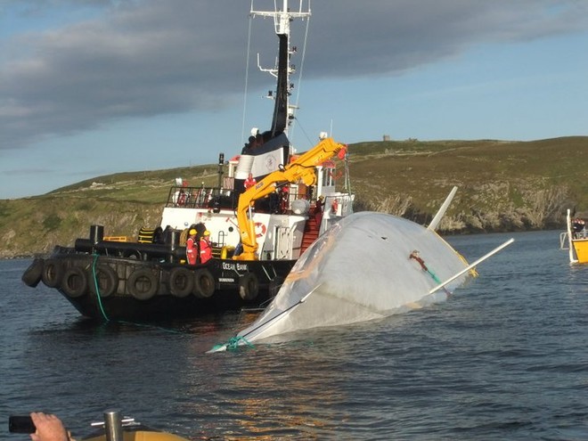 - Rambler righting - Barley Cove, Co Cork, Ireland © Baltimore Sea Safari http://www.baltimoreseasafari.ie/