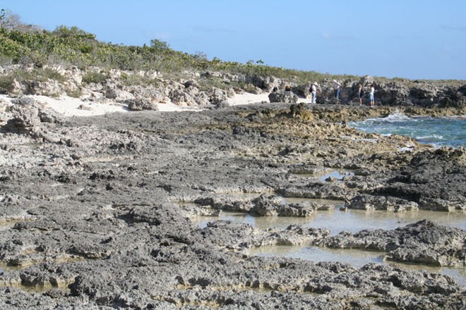 Researchers at the site of two fossil reefs described in the new study. In background, from left, William Thompson of WHOI, Mark Wilson of the College of Wooster, and undergraduate students Ann Steward and Emily Griffin from the College of Wooster. ©  H. A. Curran, Smith College