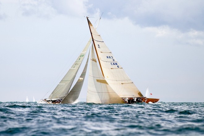 8 Meter Racing Toronto, ON © Joaquim Santos http://www.eye4photos.ca