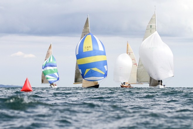 8 Meter Racing Toronto, ON © Joaquim Santos http://www.eye4photos.ca