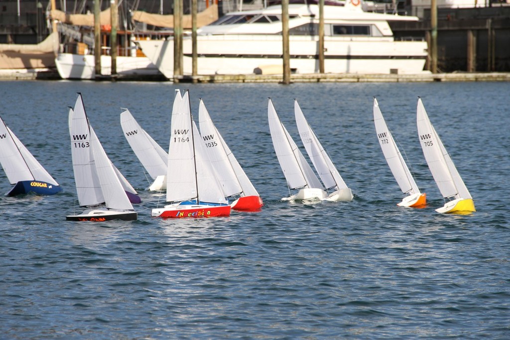 IMG 6699 - 2011-09-02 at 16-13-20 - North Sails Wind Warriors Regatta - Viaduct Harbour photo copyright Richard Gladwell www.photosport.co.nz taken at  and featuring the  class