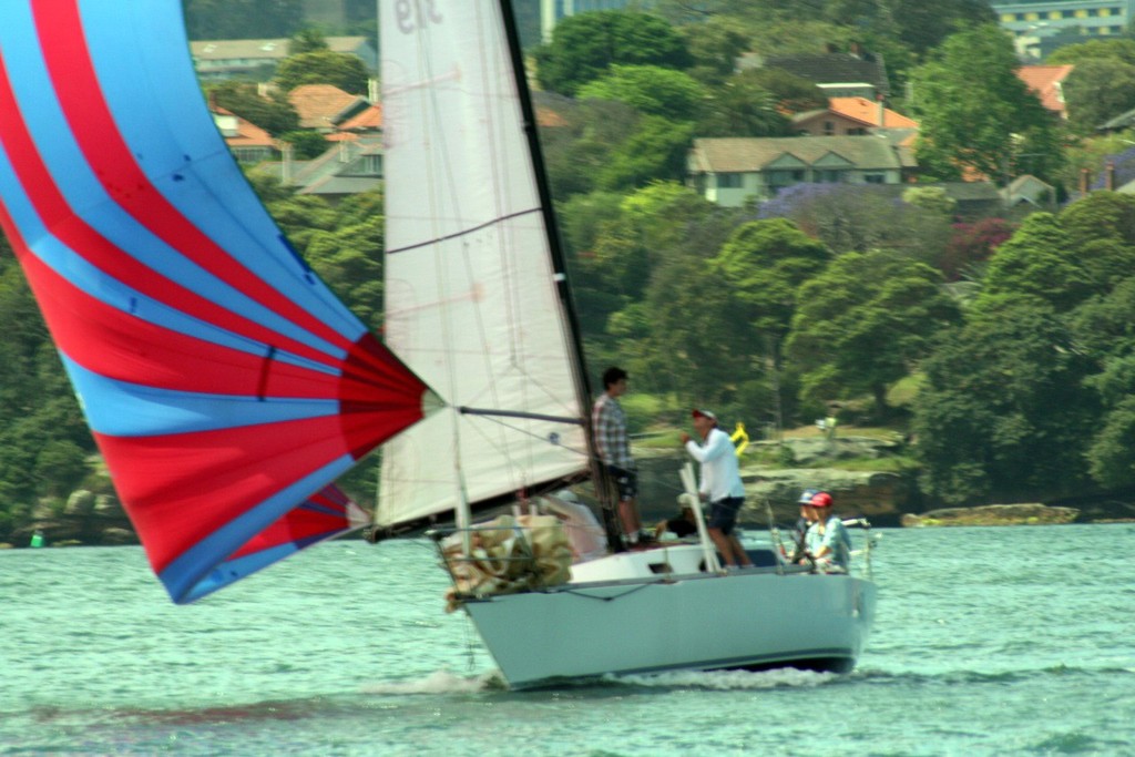 Balmain Regatta 2011 © Barb Hamilton