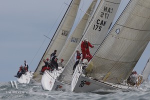A very competitive Beneteau 36.7 fleet approaching the windward mark - Beneteau 36.7 North Americans photo copyright Tim Wilkes taken at  and featuring the  class