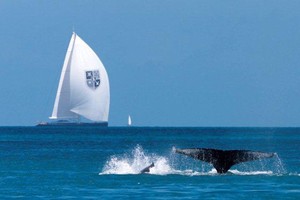 Audi Hamilton Island Race Week 2012 photo copyright Rob Mundle taken at  and featuring the  class