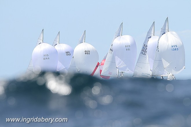 Fleet - Etchells Worlds 2012 © Ingrid Abery http://www.ingridabery.com