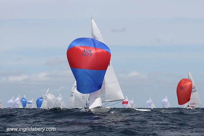 Etchells World Championship Sydney Australia 2012. Race four winner Jud Smith helming Roulette (SAIL NO: 1377) &copy; Ingrid Abery http://www.ingridabery.com