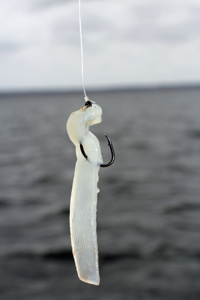 Diving lures such as this stump jumper get down into the timber where fish hold. © Jarrod Day
